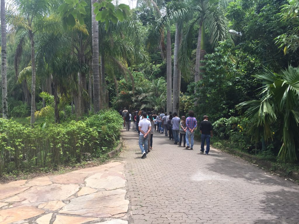 Caminhando com atenção