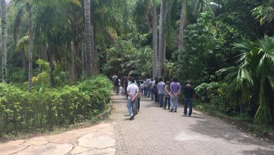 Quando Começa a Escuta Ativa? Caminhando com atenção