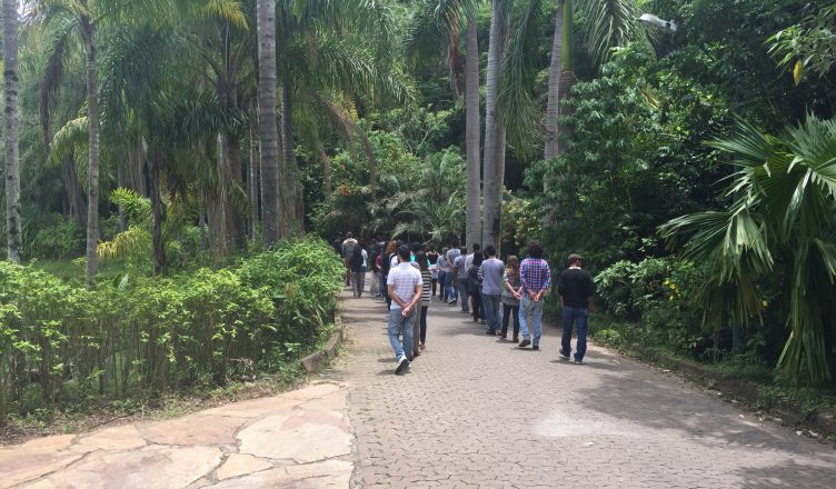 Caminhando com atenção
